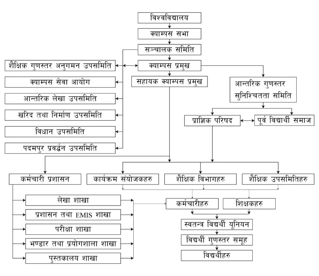 Organization chart of Saheed Smriti Multiple Campus